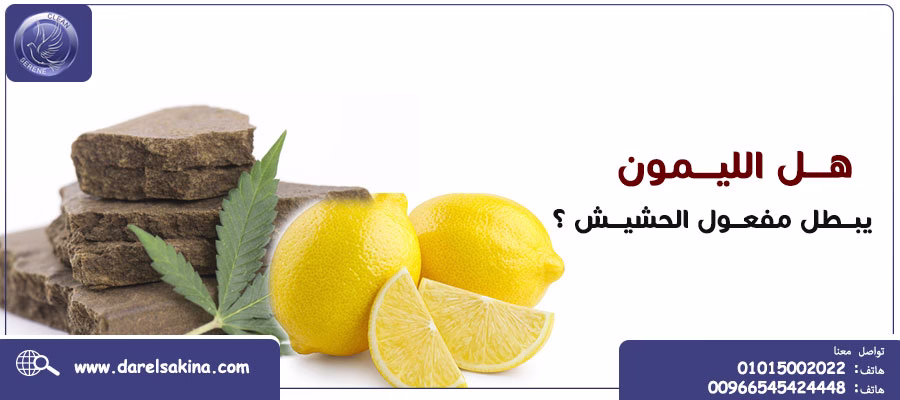 هل الليمون يبطل مفعول الحشيش؟ إليك الحقيقة الكاملة علميًا وتجربياً